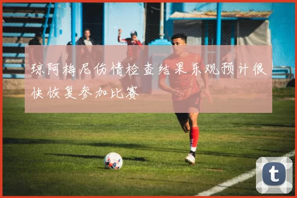 琼阿梅尼伤情检查结果乐观预计很快恢复参加比赛